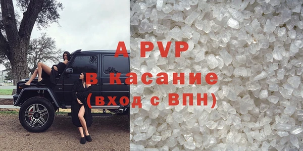 spice Каменка