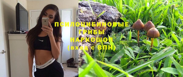 spice Каменка