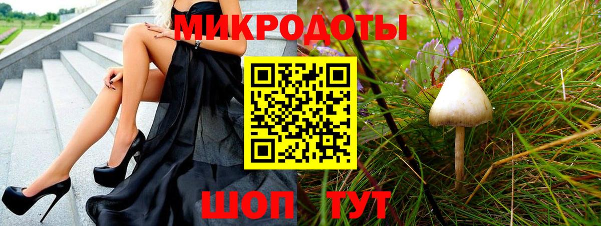 Псилоцибиновые грибы Psilocybe  Вход с VPN  Красногорск 